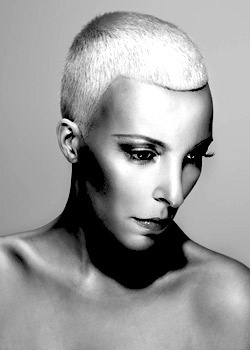 Immagine HAIRFASHION LEONARDO HAIR BEAUTY - SALONS PABLO PEREZ 986-02.jpg