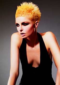 Immagine HAIRFASHION SUZIE MCGILL - RAINBOW ROOM INTERNATIONAL A257-03.jpg