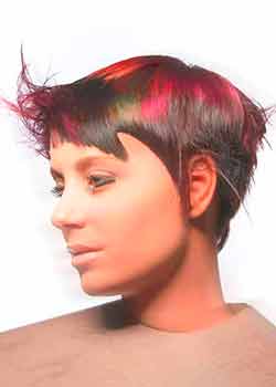 Immagine HAIRFASHION PASSION4FASHION NRG TEAM A817-03.jpg