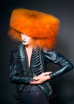 Immagine HAIRFASHION SILVIO HAUKE A970-01.jpg