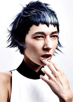 Immagine HAIRFASHION JAMES EARNSHAW - FRANCESCO GROUP B491-08.jpg