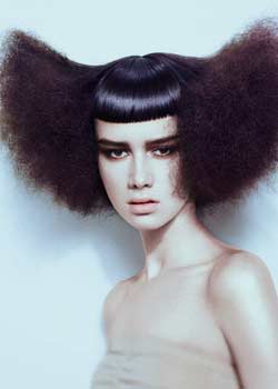Immagine HAIRFASHION PAUL GORDON ARTISTIC TEAM B544-06.jpg