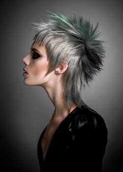 Immagine HAIRFASHION Ross Charles - Ross Charles Hairdressing B554-01.jpg