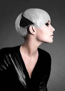Immagine HAIRFASHION Ross Charles - Ross Charles Hairdressing B554-08.jpg