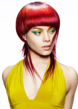 Immagine HAIRFASHION Peter Prosser Artistic Team B638-04.jpg