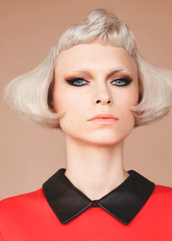 Immagine HAIRFASHION F.A.M.E. Team 2016 B645-06.jpg