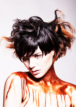 Immagine HAIRFASHION F.A.M.E. Team 2016 B646-01.jpg