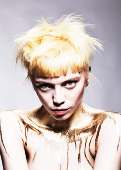 Immagine HAIRFASHION F.A.M.E. Team 2016 B646-02.jpg
