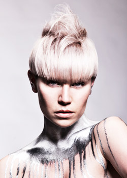Immagine HAIRFASHION F.A.M.E. Team 2016 B646-03.jpg