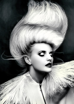 Immagine HAIRFASHION ANNE VECK B853-03.jpg