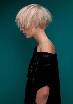 Immagine HAIRFASHION BEST CLUB EDUCATION Best_Club_collezione_pe_2011_8.jpg