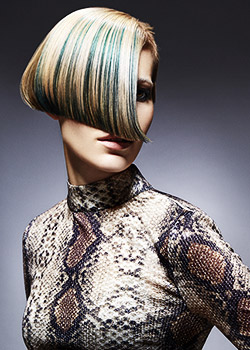 Immagine HAIRFASHION Sophie Chandler & Michael Rackett - Rush C/C268-08.jpg