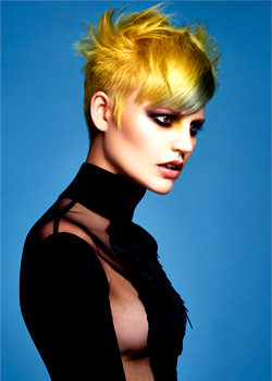 Immagine HAIRFASHION Altin Ismaili C/C413-02.jpg
