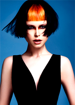 Immagine HAIRFASHION Altin Ismaili C/C413-04.jpg