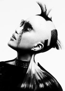 Immagine HAIRFASHION KOBI BOKSHISH, INTERSHAPE HAIRSTYLISTS C142-08.jpg