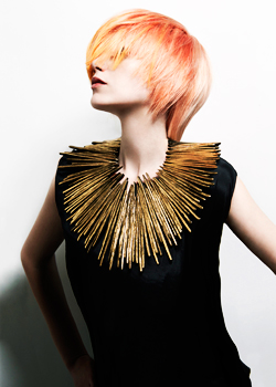 Immagine HAIRFASHION IdHAIR International Art Team C161-03.jpg