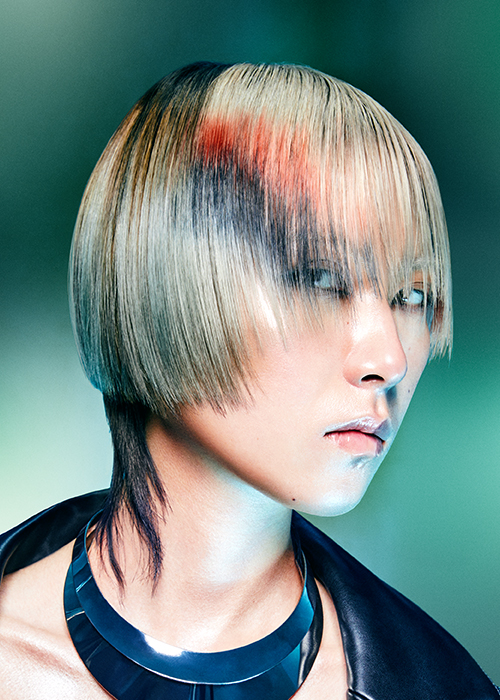 Immagine HAIRFASHION Daniele De Angelis D/Daniele_De_Angelis-2023-A794-04.jpg