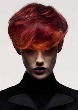 Immagine HAIRFASHION D&J AMBROSE DJ-Ambrose_Colour_3.jpg