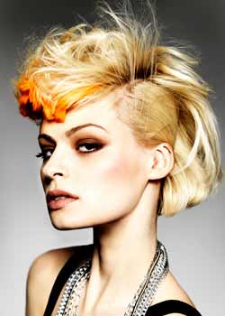 Immagine HAIRFASHION KARINE JACKSON KarineJackson-Londoncollection-98-09.jpg