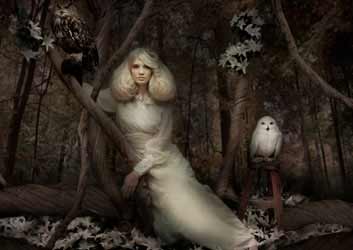 Immagine HAIRFASHION ARTHICA fagaro_arthica4.jpg