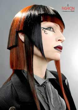 Immagine HAIRFASHION FASHION MIX PARRUCCHIERI fashion-mix_1.jpg