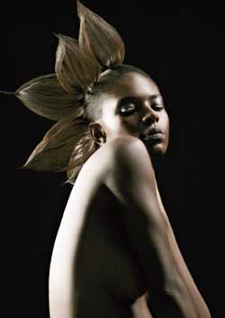 Immagine HAIRFASHION CHRISTOPHE GAILLET gaillet_17.jpg